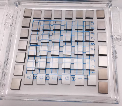 Diamond single crystal wafer/substrate