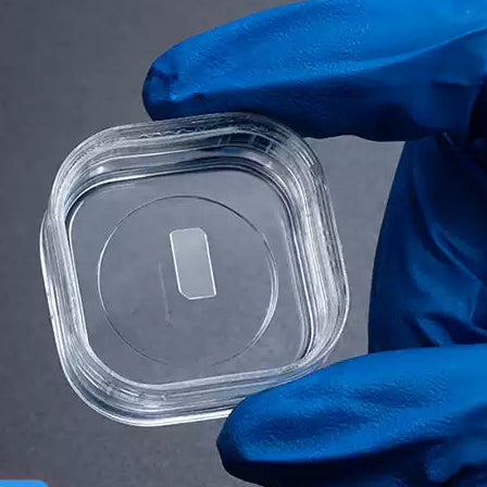 SrTiO₃ single crystal/substrate