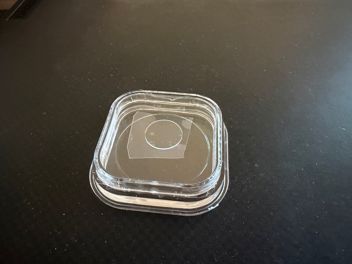 Pure YAG disk