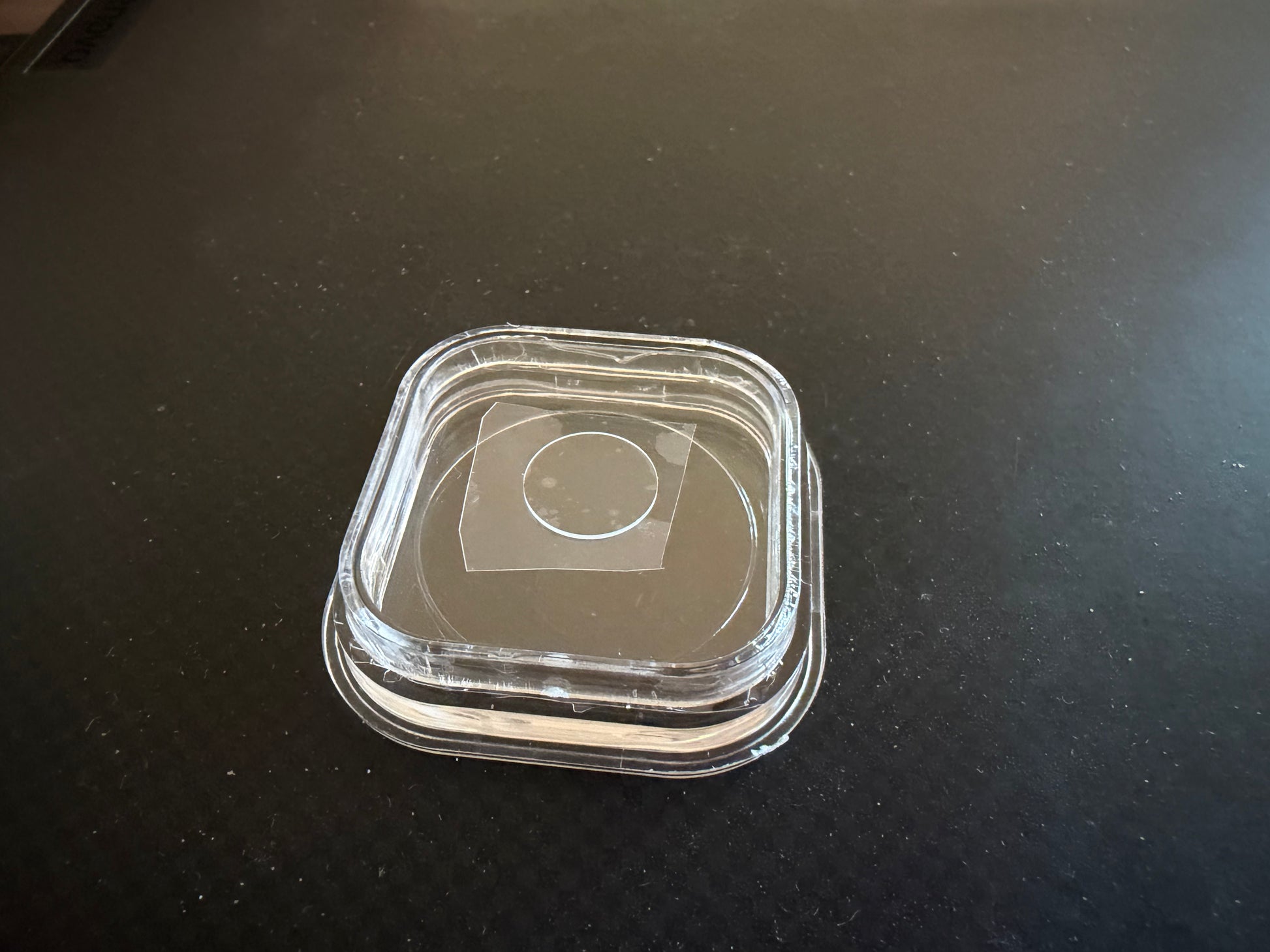 Pure YAG disk